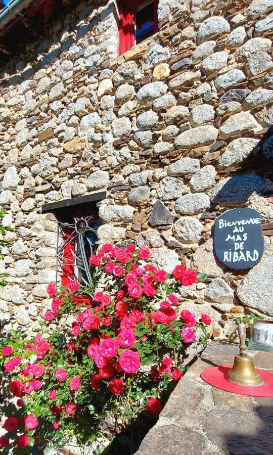 Le Mas De Ribard Bréau-et-Salagosse المظهر الخارجي الصورة